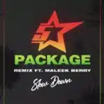 King Promise Slow Down Remix Ft Maleek Berry Mp3 Download.jpg